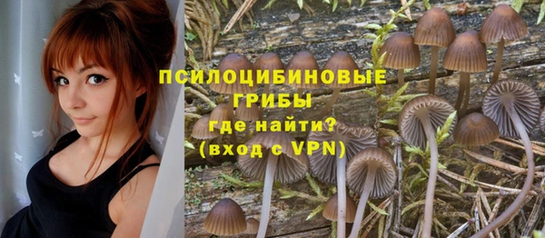 PSILOCYBIN Балабаново