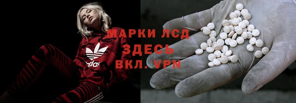 ПСИЛОЦИБИНОВЫЕ ГРИБЫ Балахна