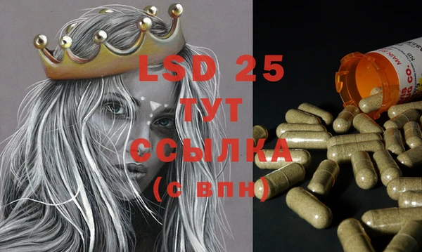 PSILOCYBIN Балабаново