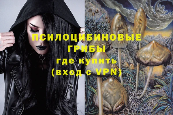гидра Баксан