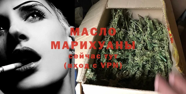 индика Арсеньев