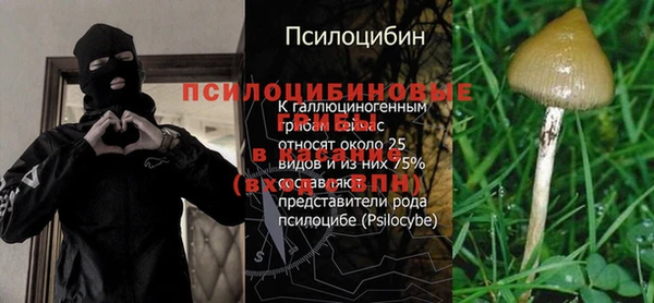 PSILOCYBIN Балабаново