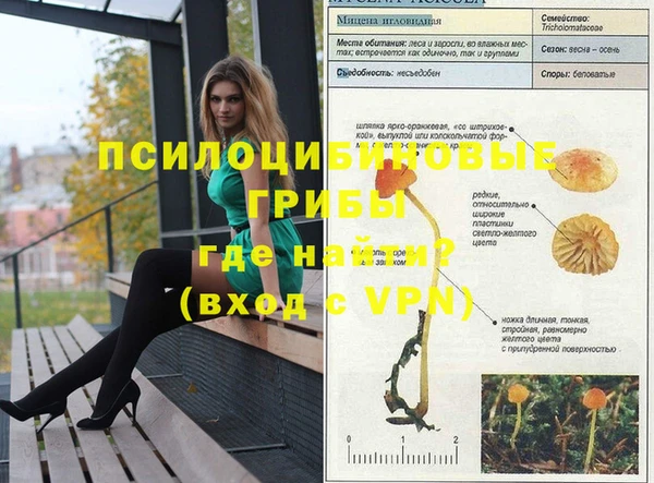 ПСИЛОЦИБИНОВЫЕ ГРИБЫ Балахна