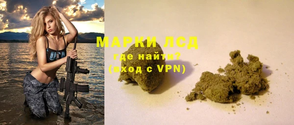 индика Арсеньев
