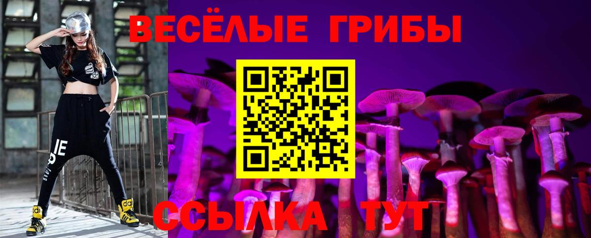 Псилоцибиновые грибы Psilocybe Кондопога